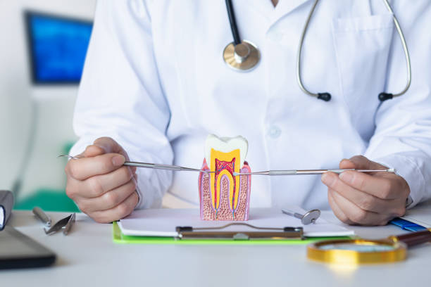 Best Walk-In Emergency Dental Services in Hughesville, PA